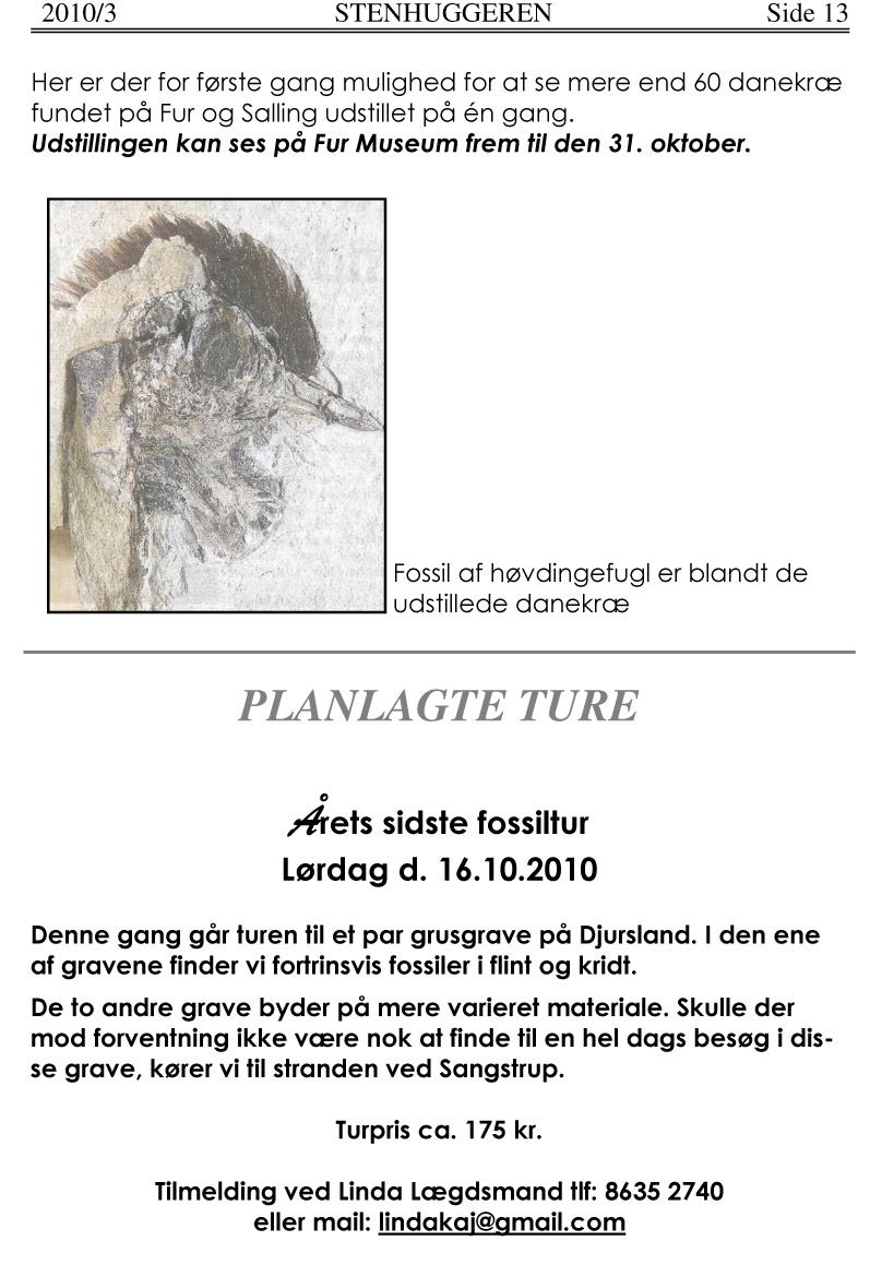2010/3 Side 13 Her er der for første gang mulighed for at se mere end 60 danekræ fundet på Fur og Salling udstillet på en gang. Udstillingen kan ses på Fur Museum frem til den 31. oktober. L...-...:.