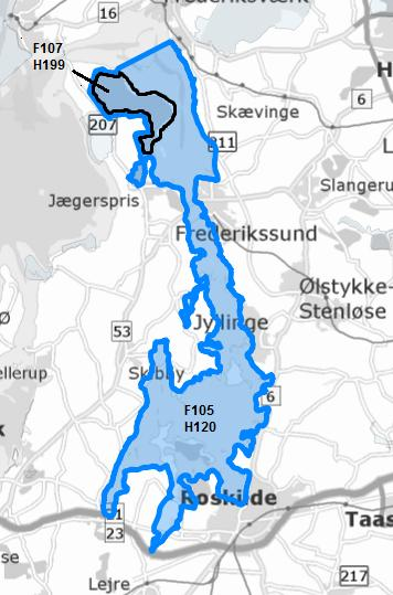 Resumé Natura 2000-område nr. 136 (Roskilde Fjord og Jægerspris Nordskov) består af to habitatområder og to fuglebeskyttelsesområder (figur 1). Mål og indsats for udpegningsgrundlaget for hhv.