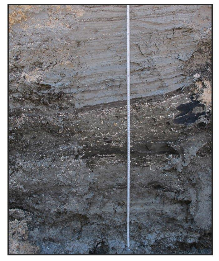 SEDIMENTBESKRIVELSER NNU sedimentbeskrivelser (jfr. profil nedenfor).