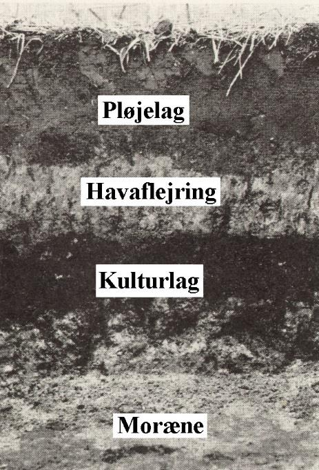 faser, Villingebæk-fasen (6100-5700 f.kr.