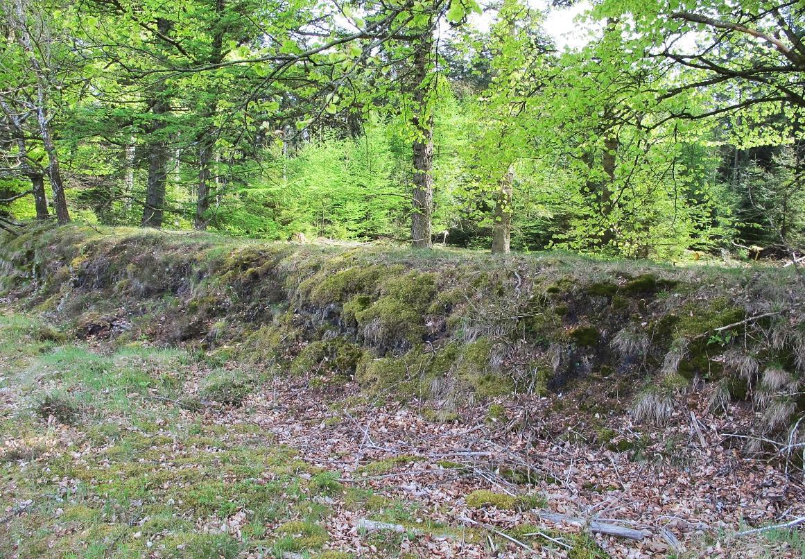 Langs den sydøstlige grænse af området op til Langbjerg Plantage findes et gammelt jorddige, som er lidt mere end 1 meter både i