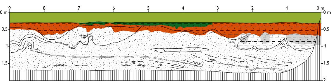 Sammensat billede af Ø-V profilvæg ved Hjortkær. Billedet er 9 meter langt og 1,2 meter højt. Figur 3.11. Profilskitse af S-N profilvæg ved Hjortkær.