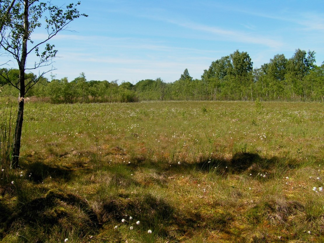 2. Områdebeskrivelse Natura 2000-området består af et habitatområde og et fuglebeskyttelsesområde. Mål og indsats for udpegningsgrundlaget for hhv.
