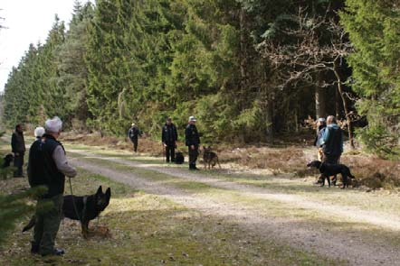 15 startede praktikken med vores hunde, vi tog ud i Viborg skovene, hvor der i forvejen var lavet nogle store felter der var 6 timer gamle.