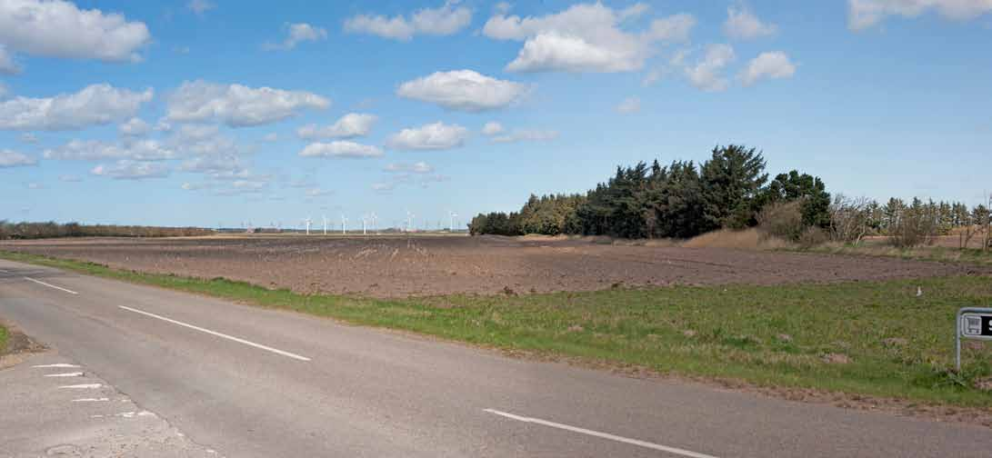 5Eksisterende forhold fotograferet mod nordøst fra den nordlige indkørsel til sommerhusområdet Stauning Vesterstrand ved Halby