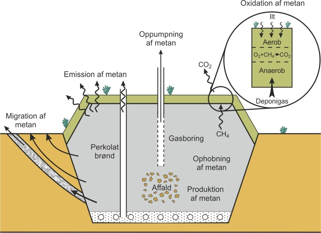 2. Imødegåelse af metanemission fra affaldsdeponier en oversigt Dette kapitel giver en kort oversigt over de mulige tiltag, som eksisterer til at imødegå emissioner af deponigas indeholdende metan