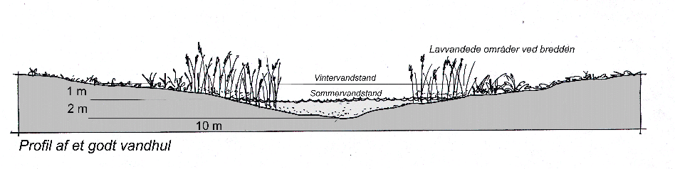 8. Eventuel beplantning ved søerne begrænses til deres nordside og skal sammensættes af danske træarter og buske. Når dispensationen er udnyttet, bedes du meddele det til kommunen.