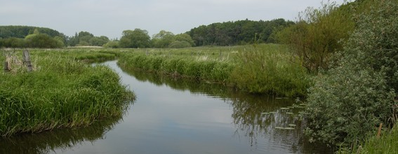 Fosfor vådområder Hillerød Kommune vil bidrage til et mere afvekslende landskab og en større artsrigdom i naturen ved at skabe/genskabe ådale i forbindelse med Pøle å, Æbelholt å og Lyngby å