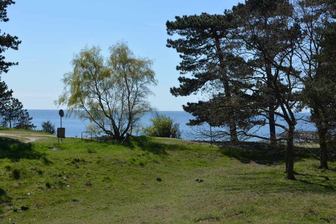 Figur 1.22 Den nuværende udsigt i området nær kystskrænten ved Kastellet (foto: NIRAS).