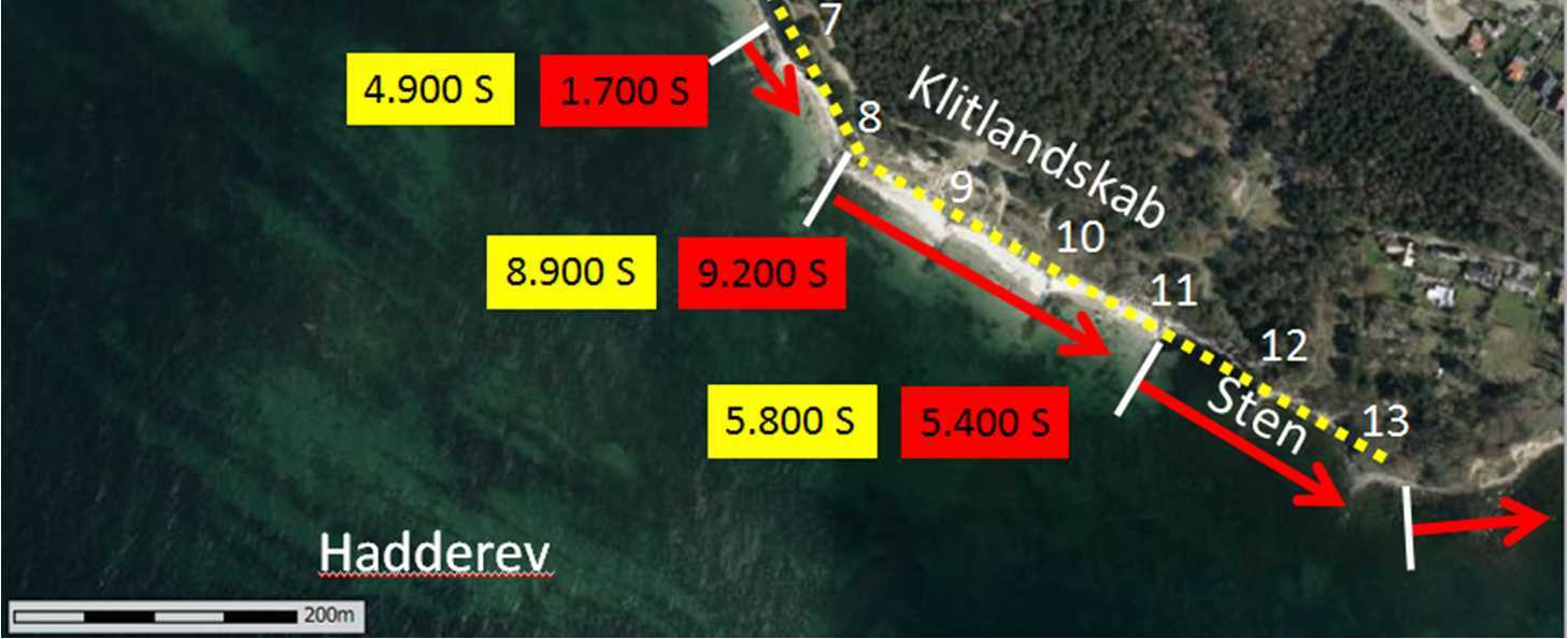 29. Figur 1.29 Sammenligning af netto sedimenttransportkapaciteten gennem transsekter ud for Galløkken syd for havnen.