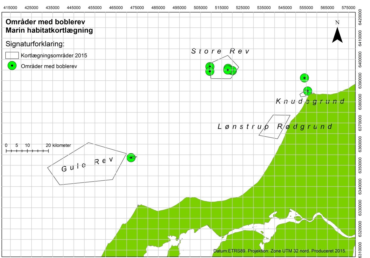 I dette kortlægningsprojekt blev der fundet boblerev 9 steder i de undersøgte områder, Tabel 6-1.