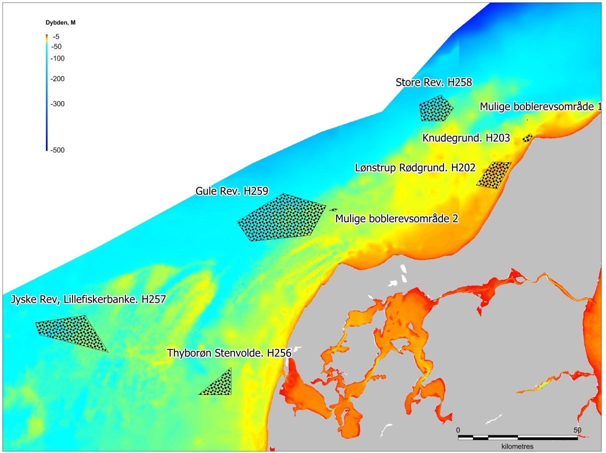 2. Generel områdebeskrivelse og eksisterende data Habitatnaturtypekortlægningen er opdelt i seks forskellige habitatområder og to mulige boblerevs områder i Skagerrak og Nordsøen.