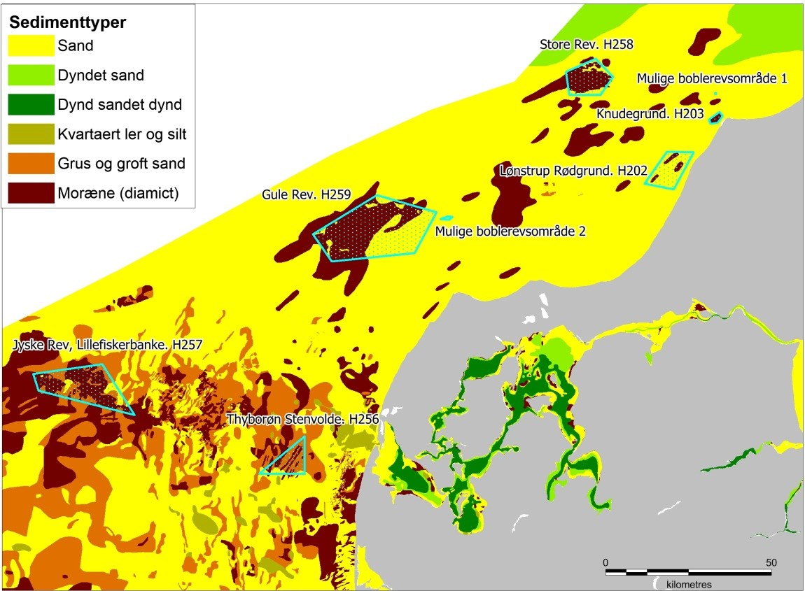 Nedenstående overfladesedimentkort (Figur 2-4) viser fordelingen af sedimenter på havbunden, mens Figur 2-5 angiver eksisterende akustiske og biologiske data i Nordsøen og Skagerrak ud for