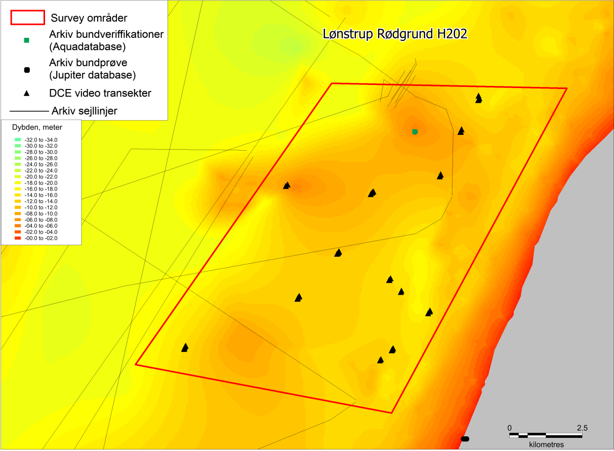 5. Resultater substrat- og habitattypekortlægning 5.1 Habitatområde nr. 202 Lønstrup Rødgrund Habitatområde nr. 202 Lønstrup Rødgrund udgør beskyttelsesgrundlaget i Natura 2000-området med samme navn.