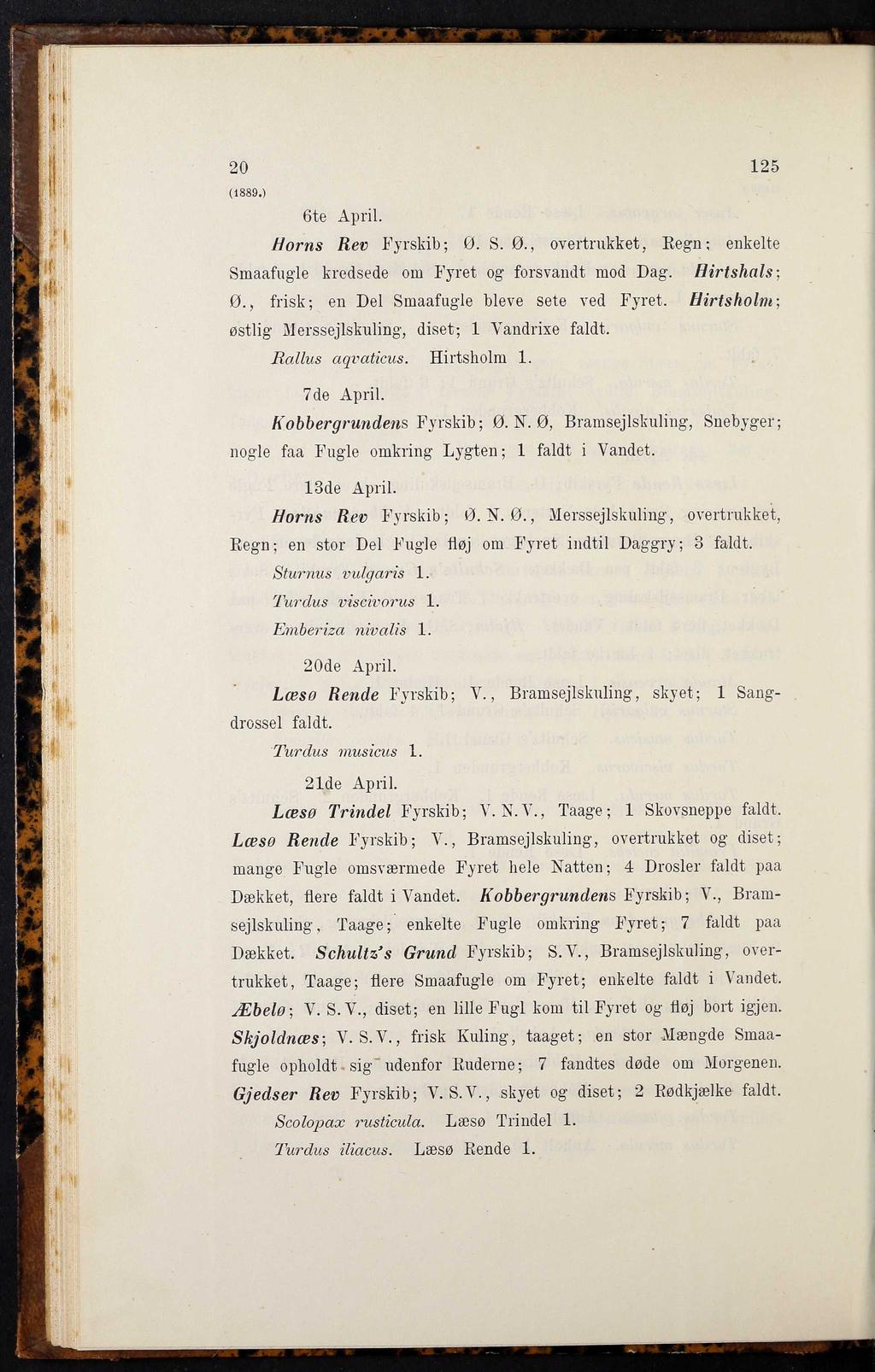"ijfwynm i 20 125 ( 1889.) 6te April. Horns Rev Fyrskib; 0. S. 0., overtrukket, Regn; enkelte Smaafugle kredsede om Fyret og forsvandt mod Dag. Hirtshals-, 0.