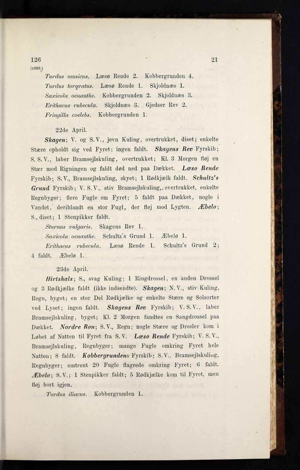 1 2 6 (1889.) Turdus musicus. Læsø Rende 2. Kobbergrunden 4. Turdus torqvatus. Læsø Rende 1. Skjoldnæs 1. Saxicola oenanthe. Kobbergrunden 2. Skjoldnæs 3. Erithacus rubecula. Skjoldnæs 8.