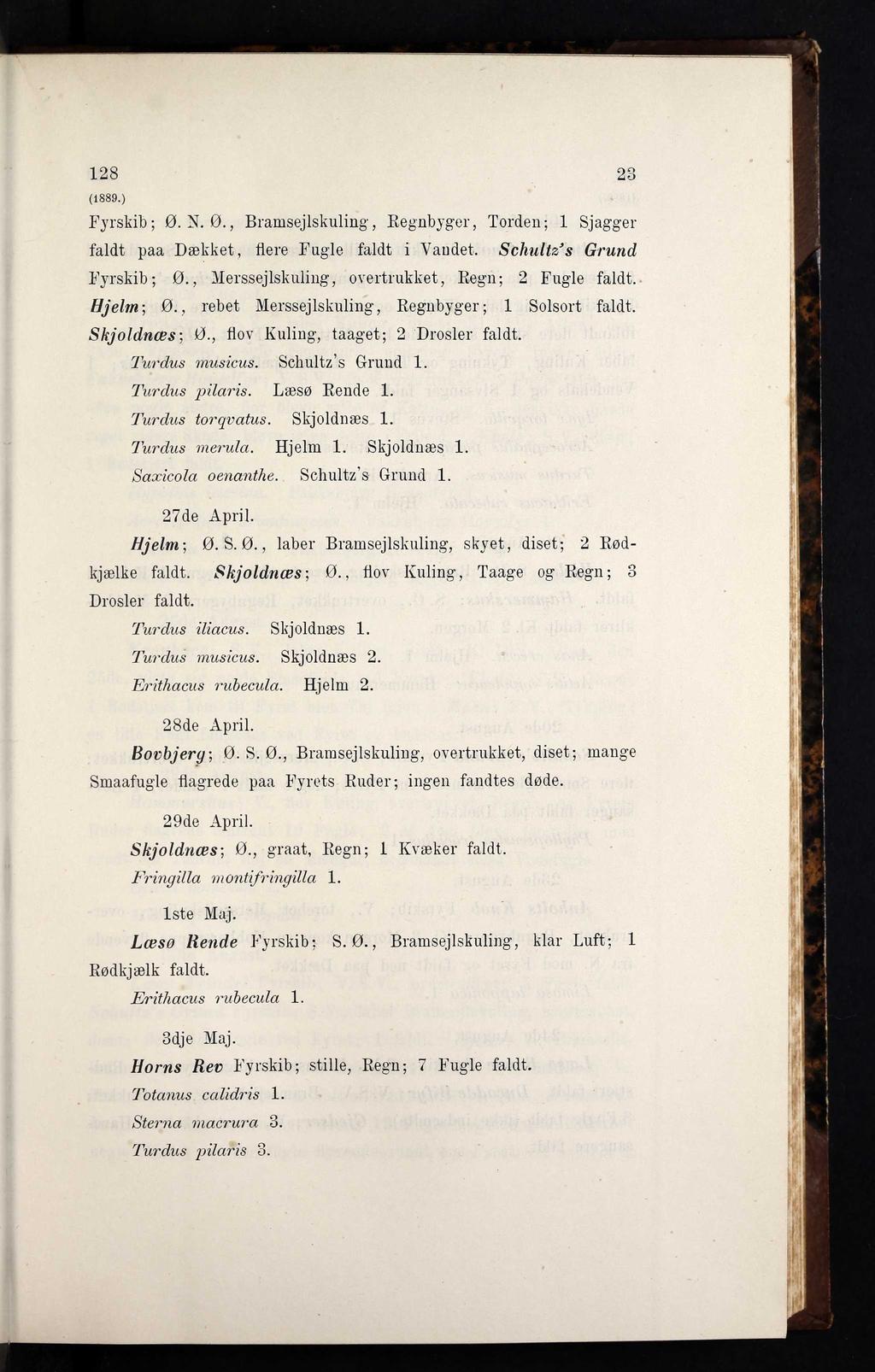 128 23 (1889.) Fyrskib; 0. N. 0., Bramsejlskuling, Regnbyger, Torden; 1 Sjagger faldt paa Dækket, flere Fugle faldt i Vandet. Schultz s Grund Fyrskib; 0.