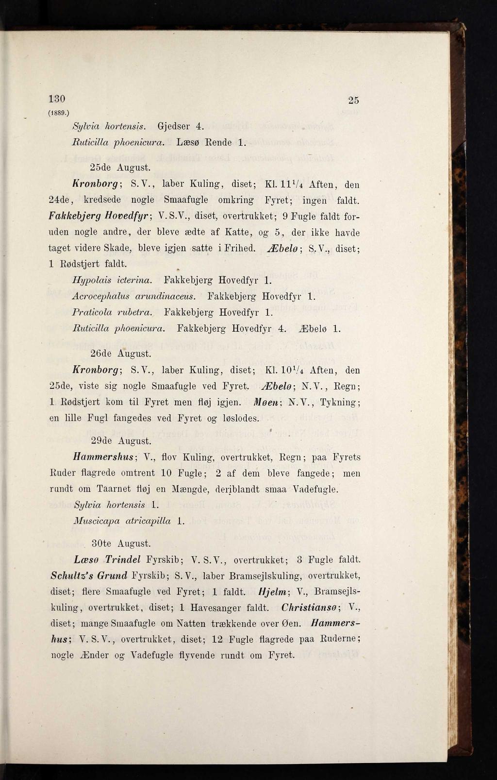 130 (1889.) Sylvia hortensis. G-jedser 4. Ruticilla phoenicura. Læsø Rende 1. 25 25de August. Kronborg; S.Y., laber Kuling, diset; Kl.