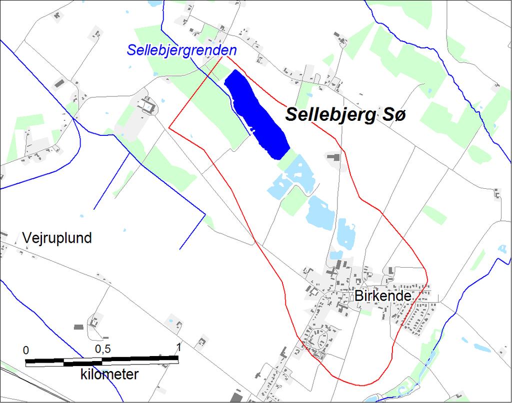 Beliggenhed Kommune(r) 440: Kerteminde Søen: Sellebjerg Sø Søtype 9: Kalkrig, ikke brunvandet, fersk, lavvandet Hovedopland 1.