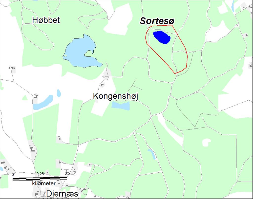 Beliggenhed Kommune(r) 430: Faaborg-Midtfyn Søen: Sortesø Søtype 6: Kalkfattig, brunvandet, fersk, dyb Hovedopland 1.