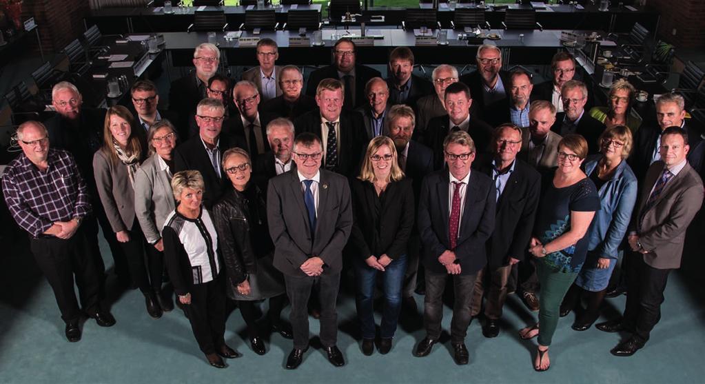Regionsrådet 19. november 2013 stemte borgerne i Region Syddanmark om, hvem der skulle sidde i det nye regionsråd. Det var Danmarkshistoriens tredje regionsrådsvalg.