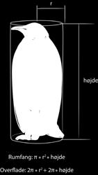 dskoling pgave 1.b: Beregn forholdet mellem overflade og rumfang for de 3 pingvinarter. Vi forsimpler opgaven ved at antage, at kroppen har form som et rør.