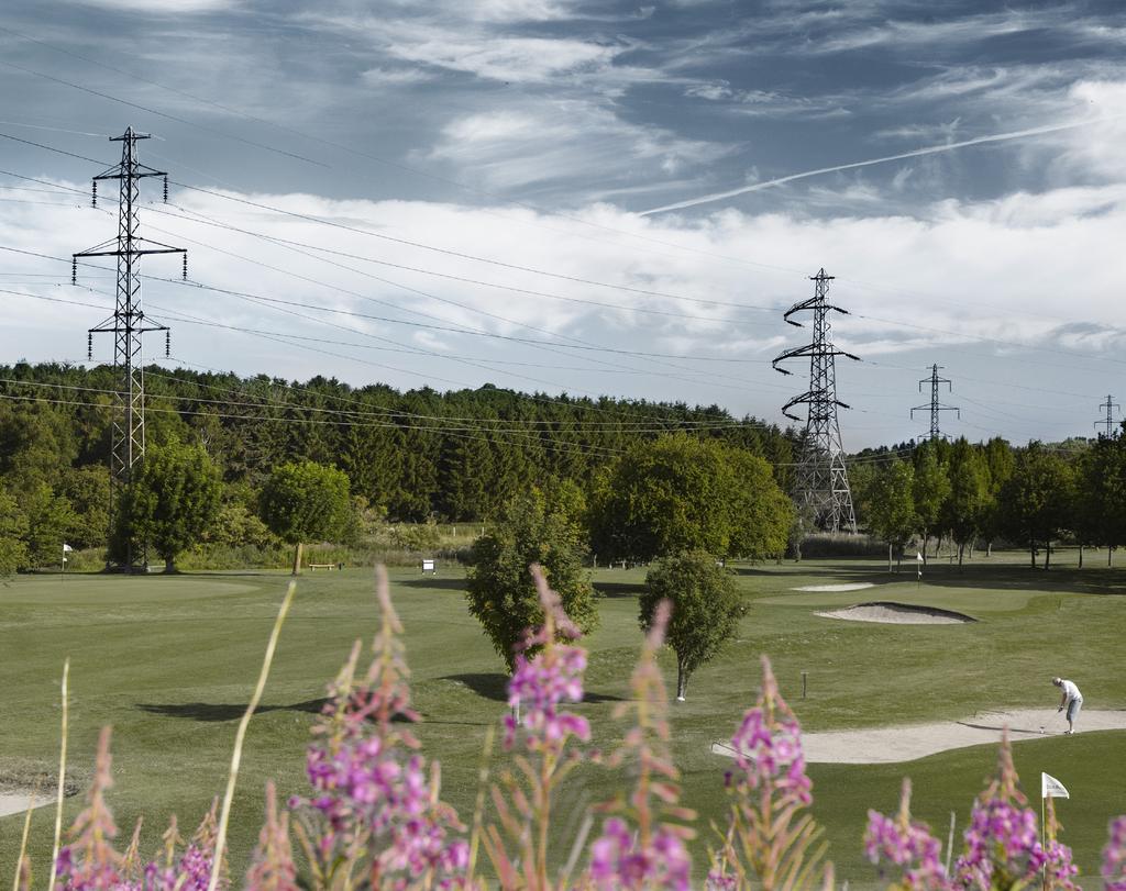 Redegørelse for elforsyningssikkerhed 2017 11 132 kv-elmaster ved Albertslunds golfklub.
