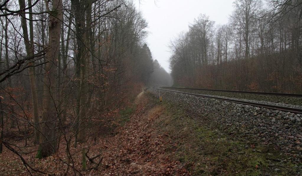 Figur 54: Fotoet er taget på jernbanen sydøstlige side. På denne strækning skråner jernbanedæmningen ned mod skoven.