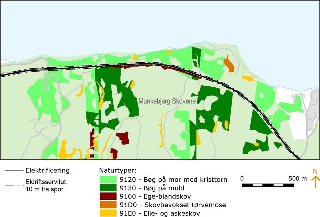 Figur 33: Habitatnaturtyper inden for Natura 2000-område 79, Munkebjerg Strandskov. 7.3.1.