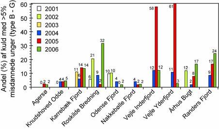 Effektundersøgelser i ålekvabbe Ålekvabbe (Zoarces viviparus) er siden 2004 anvendt i NOVANA som indikator for, om der forekommer effekter af miljøfarlige stoffer på kystnære fisk.