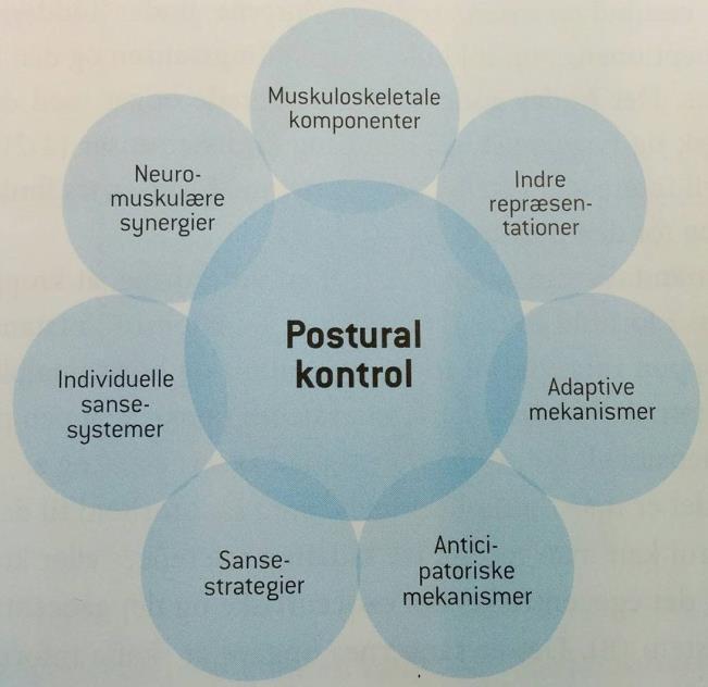 2.1.1. Individets forudsætninger (Kim) Figur 2.3 illustrerer en systemteoretisk måde at betragte individets forudsætninger for opretholdelse af postural kontrol.