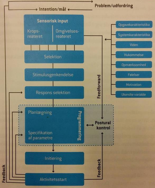 Mulder et al. har opstillet en model, der illustrerer denne kombination af feedback- og feedforward strategier (figur 2.7)
