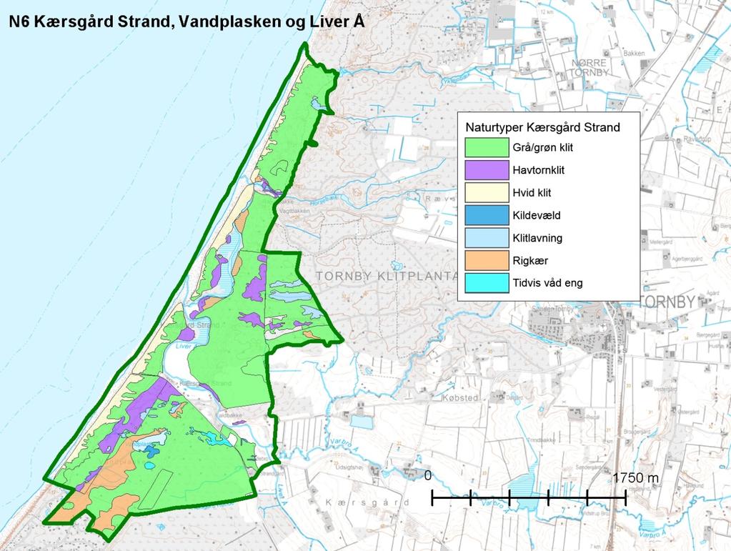 Resumé Udkast til handleplan for Kærsgård Strand, Vandplasken og Liver Å beskriver den indsats, der skal igangsættes i Natura 2000-området inden udgangen af 2021.