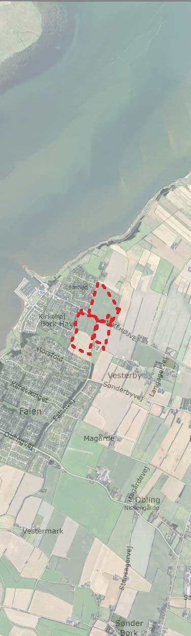 Bork Et areal ved Bork Havn foreslås udtaget af sommerhusområde.