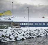 Paamiut 1920 1981 Aappilattoq (syd) Fabrikschef: Aqqalu Levisen Primære arter: Hellefisk, torsk Færdigvarer: Indfrysning af fisk Kapacitet: 4 ton/døgn