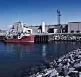 haler i Ziplock poser Kapacitet: 40 ton/døgn Antal medarbejdere: 18-25 lav- / højsæson Old Perlican Conche Seafood Koszalin Cuxhaven (ziplock) Fabrikschef: Charles Daley