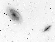 M82 ses fra siden (cigarformet) og med en klar midte. M81 og M82 er nabogalakser og interagerer.