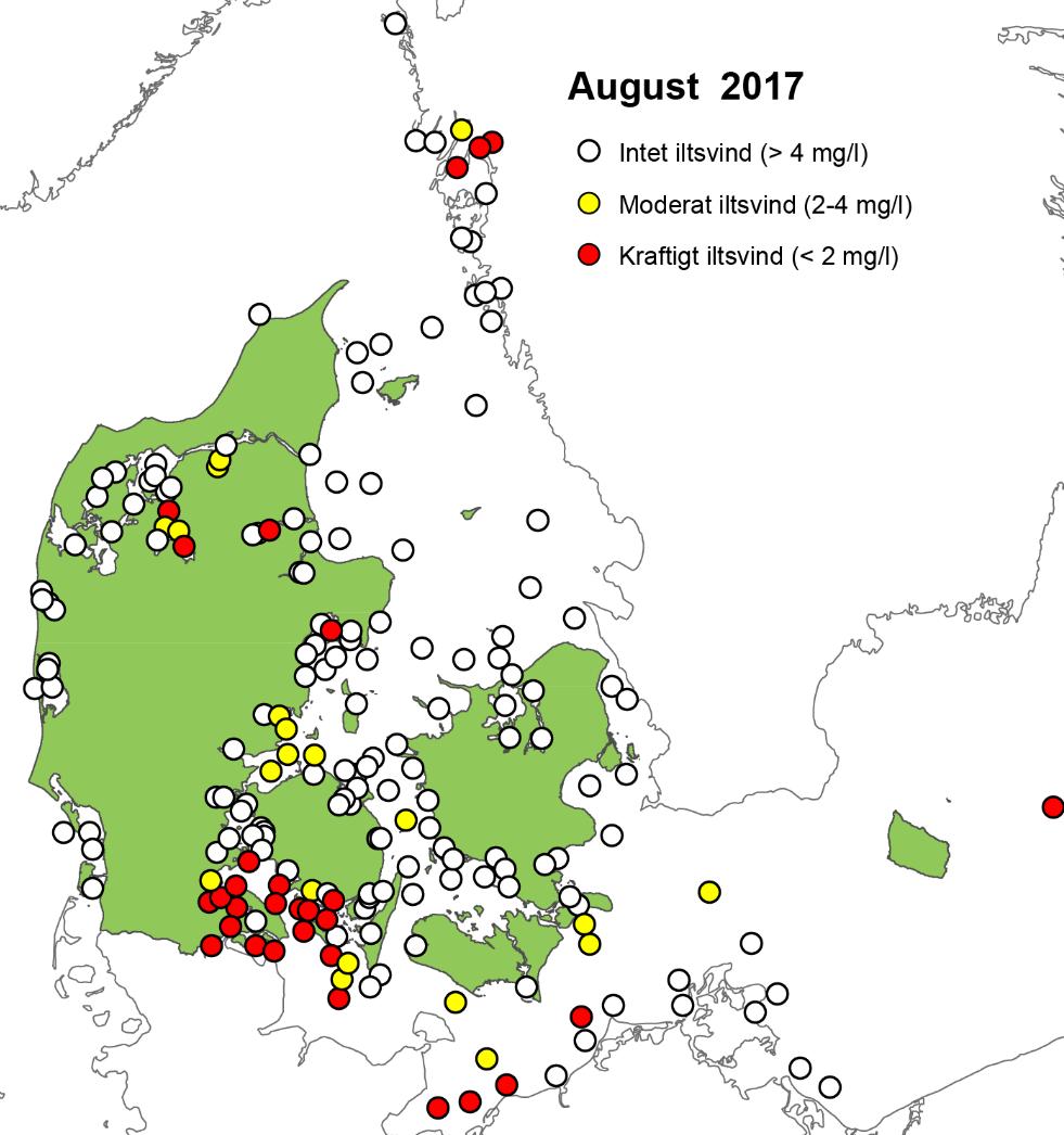 Iltsvind i farvandene i juli-august 2017 Figur 1. Kortene viser de stationer, hvor iltforholdene er undersøgt 1.-31. juli (øverst) og 1.-23. august (nederst).