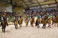 kåringer / Auktioner Neumünster er kendt for den gode hestehandel og turneringssport.