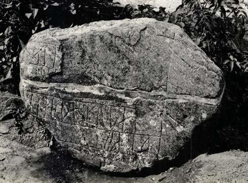 Stenen lå med den tunge halvdel nederst og derfor med de bedst bevarede runer delvist begravet i jorden og dækket af beplantning (Fig. 4).
