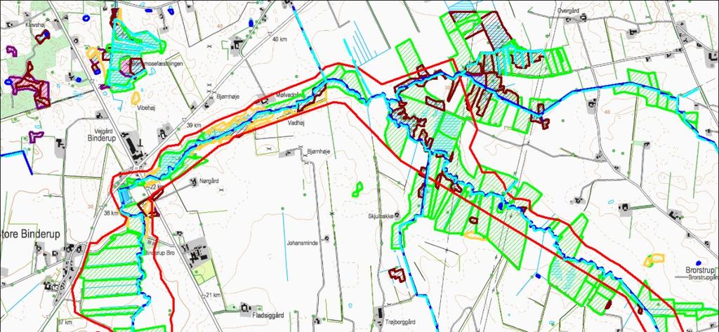 Figur 1.1.4. Undersøgelsesområdet ved Lerkenfeld Å (rød streg). Desuden er vist arealer omfattet af 3, hvor lysegrøn er eng, brun er mose, lilla er hede, orange er overdrev og blå er sø.