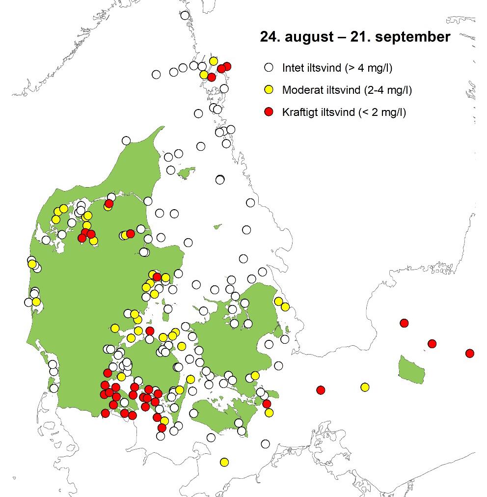 Iltsvind i farvandene i august-september 2017 Figur 1. Kortet viser de stationer, hvor iltforholdene er undersøgt i rapporteringsperioden fra 24. august til 21. september.