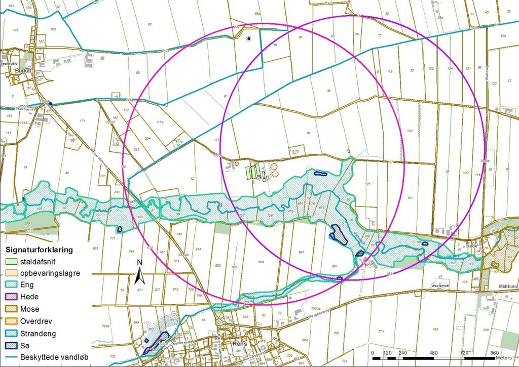 Kort 4. Placeringen af beskyttet natur nær bedriften, som udgør centrum af den pink cirkel. Centrum i den lilla cirkel udgøres af en markstak.