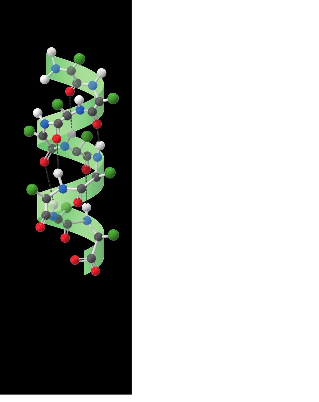 K A P I T E L 3 e- Figur 3.8 a. Alfahelix Figur 89. Dannelse af disulfidbinding mellem fra to cysteinmolekyler.