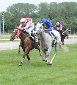 Årets bedst betalte galopløb i Aalborg er Equsana Champion Stakes for klasse 2 hestene hvor der i år dystes om en præmiesum på 95.500 kroner.