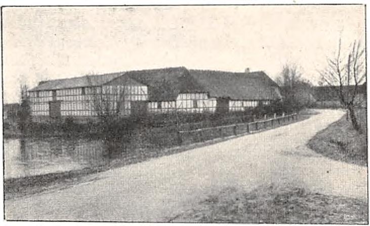Besidderen har nemlig i Sommeren 1909 gjort bitre Erfaringer med Byg i Kløver.