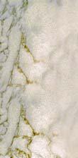 marmor, skal man derfor sørge for, at materialet ikke kan påvirkes af fugt fra underlaget. Misfarvninger I vådrum kan der på grund af fugtbelastning på natursten opstå misfarvninger (udblomstringer).