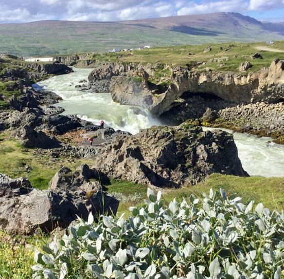 Thingvellir er stedet hvor det islandske Alting blev dannet omkring år 950.