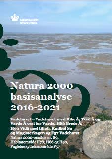 Basisanalyser Basisanalyserne opsamler de overvågningsdata der skal benyttes i Natura 2000