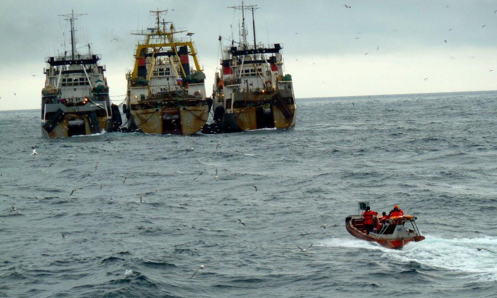 I 2013 deltog NaturErhvervstyrelsen med fiskerikontrolskibet Vestkysten, der blev sendt på NEAFC inspektionstogt i perioden den 15. august 2013 